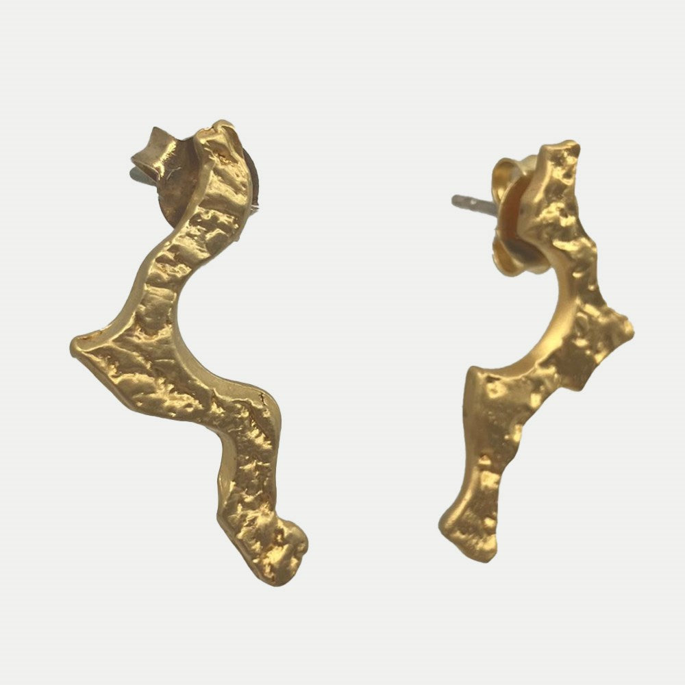 Earrings | Gold slither | Lisa Roet