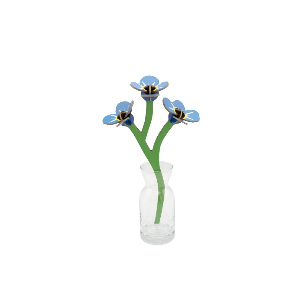 Decoration | Everlasting Flowers