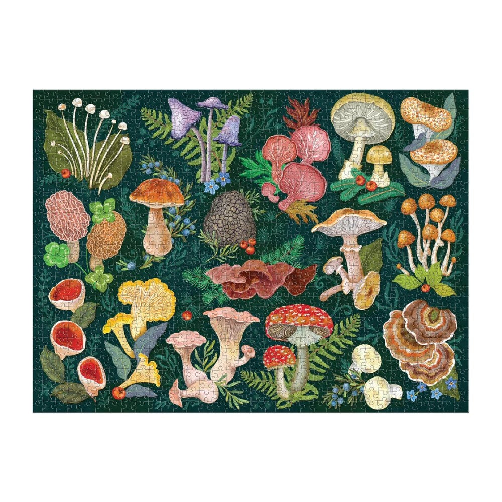 Puzzle | World of Mushrooms | 1000 pieces