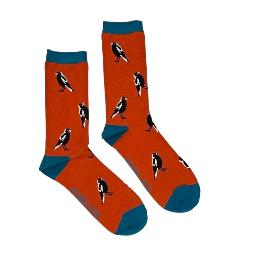 Socks | Magpie | Kids 3-6