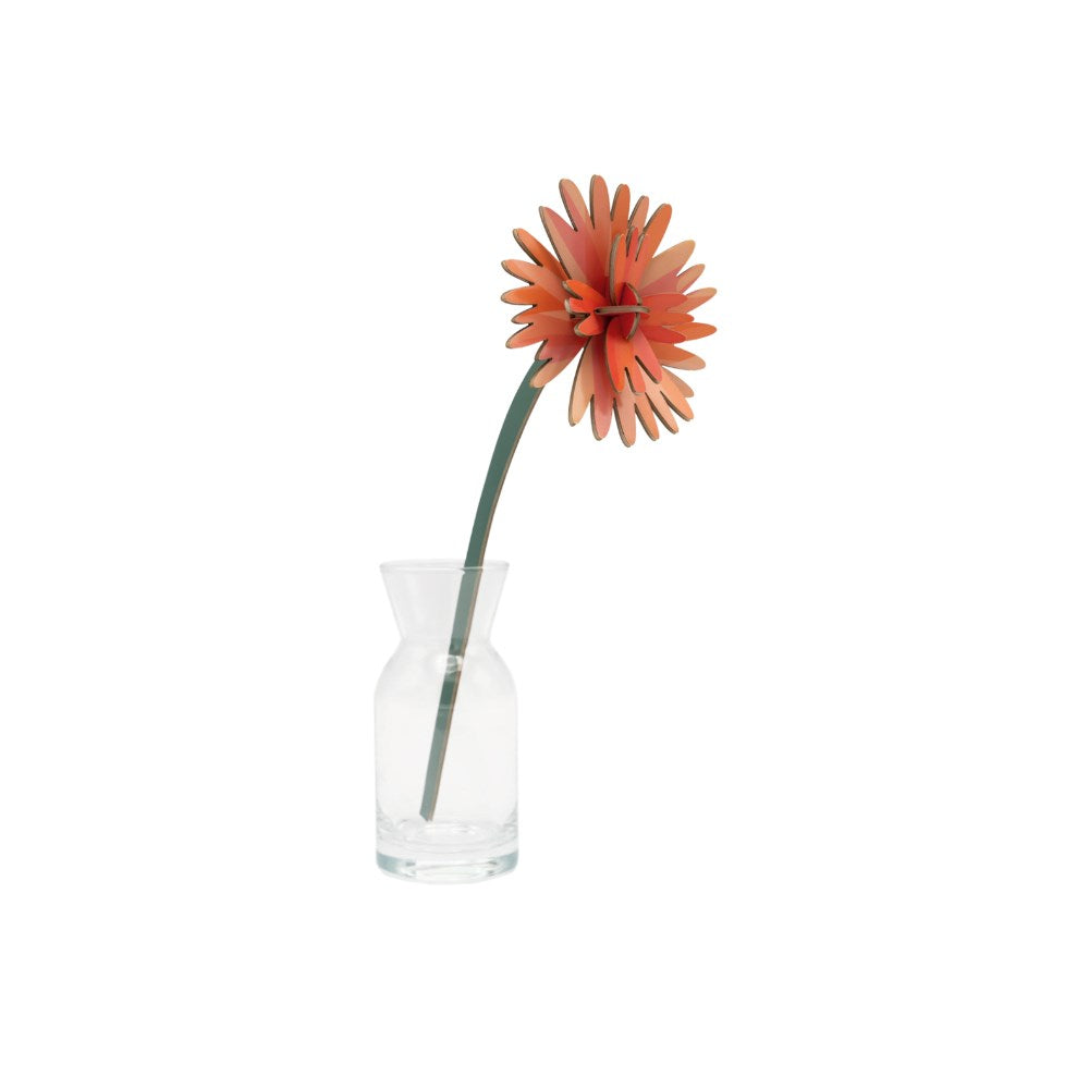 Decoration | Everlasting Flowers