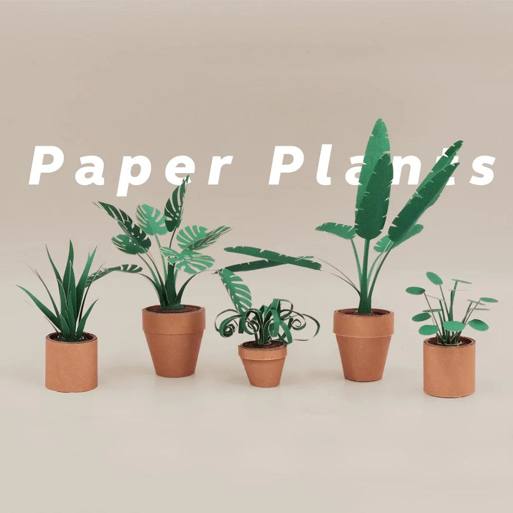 Activity Kit | Paper Plants Origami