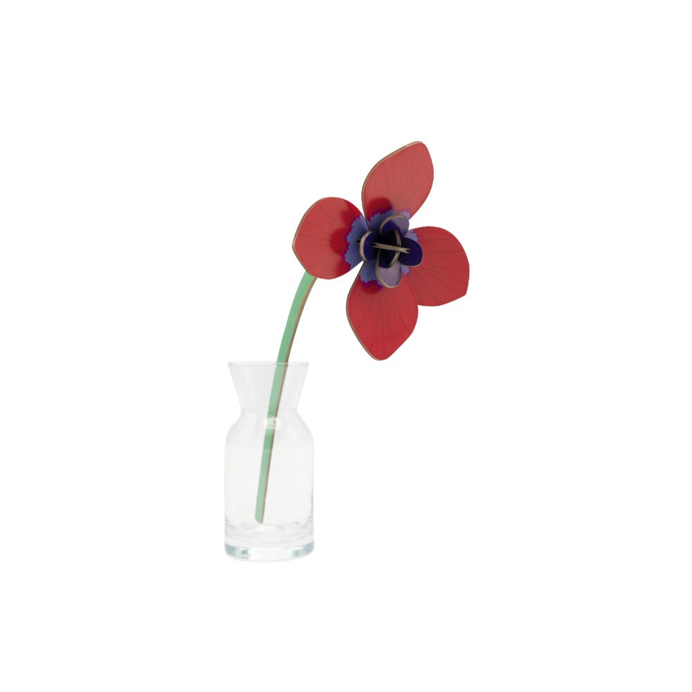 Decoration | Everlasting Flowers