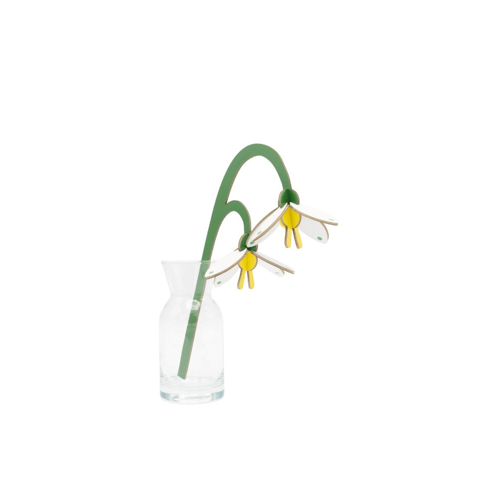 Decoration | Everlasting Flowers