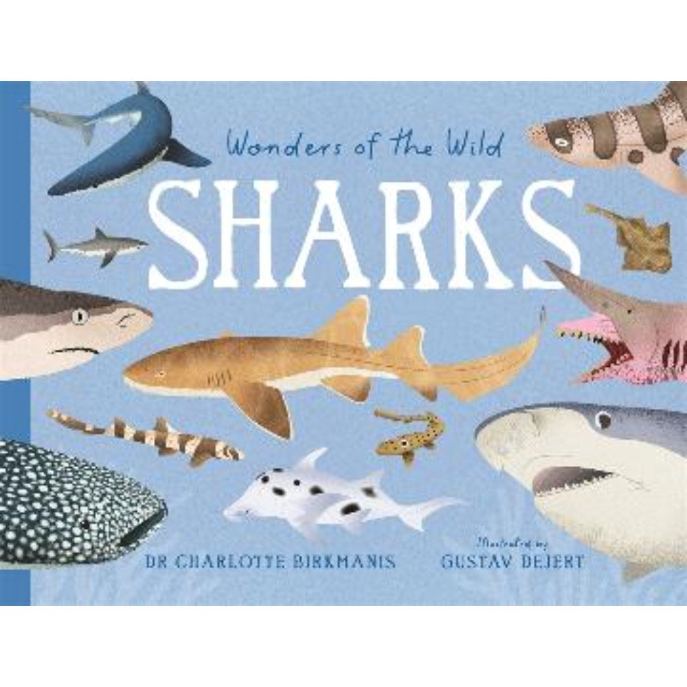 Wonders of the Wild: Sharks | Author: Dr Charlotte Birk