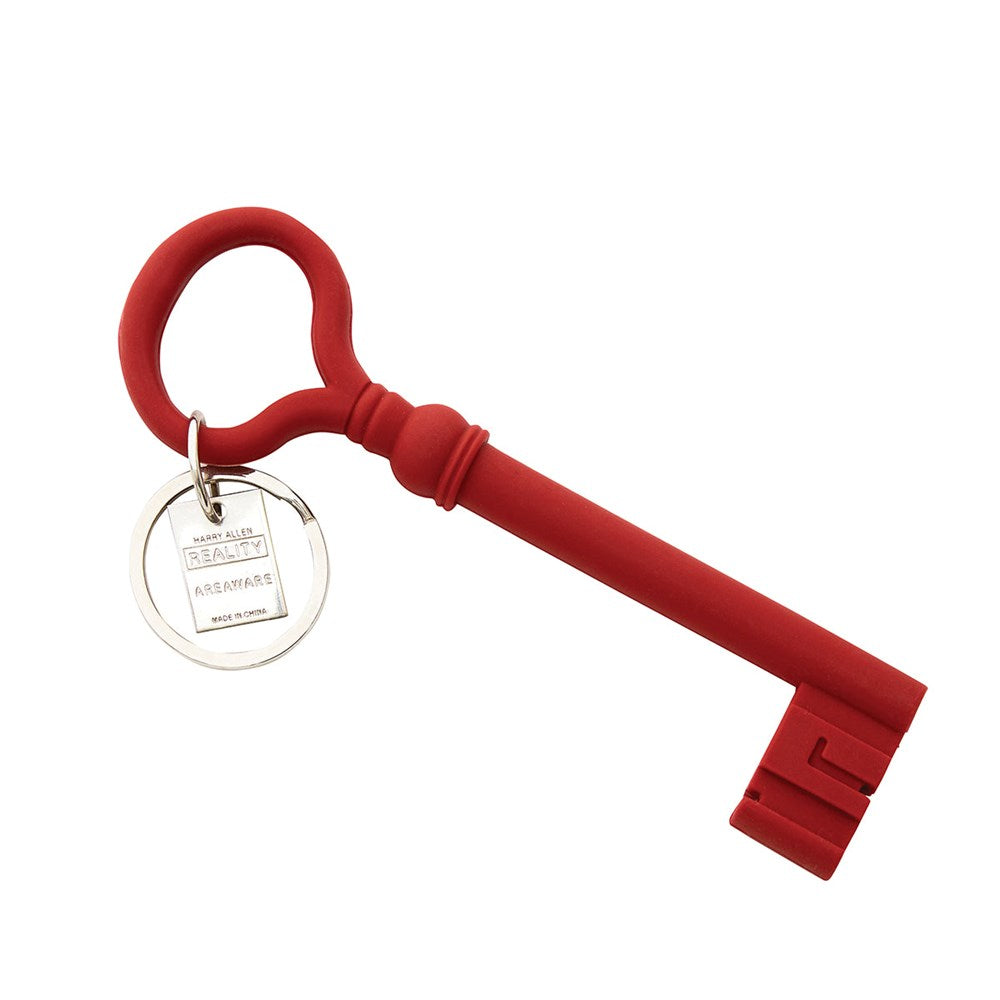 Keyring | key | assorted colours