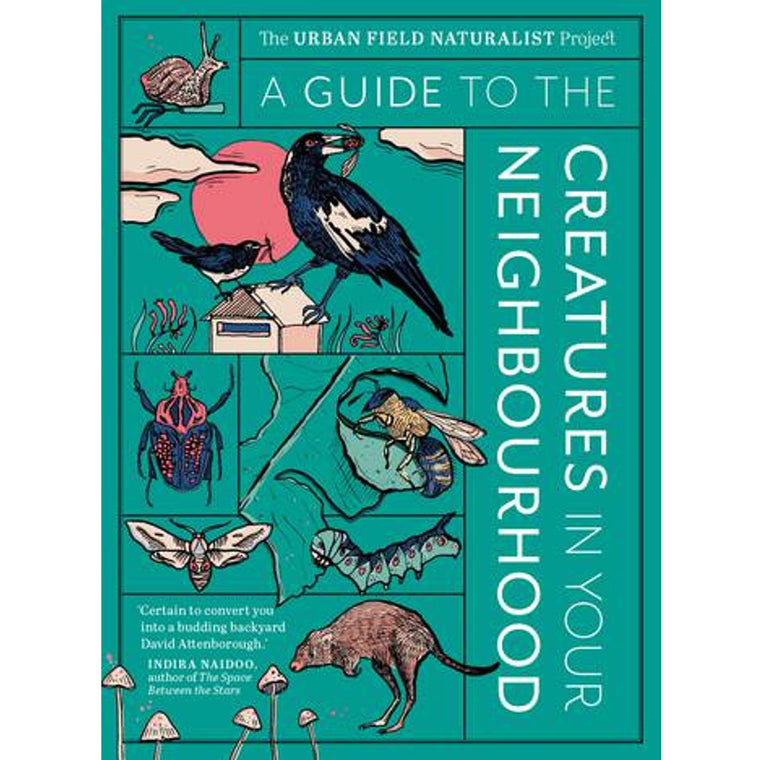 A guide to the creatures in your neighbourhood | The Urban Field Naturalist Project