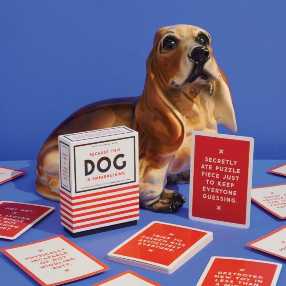 Milestone cards | Because this dog is embarrassing