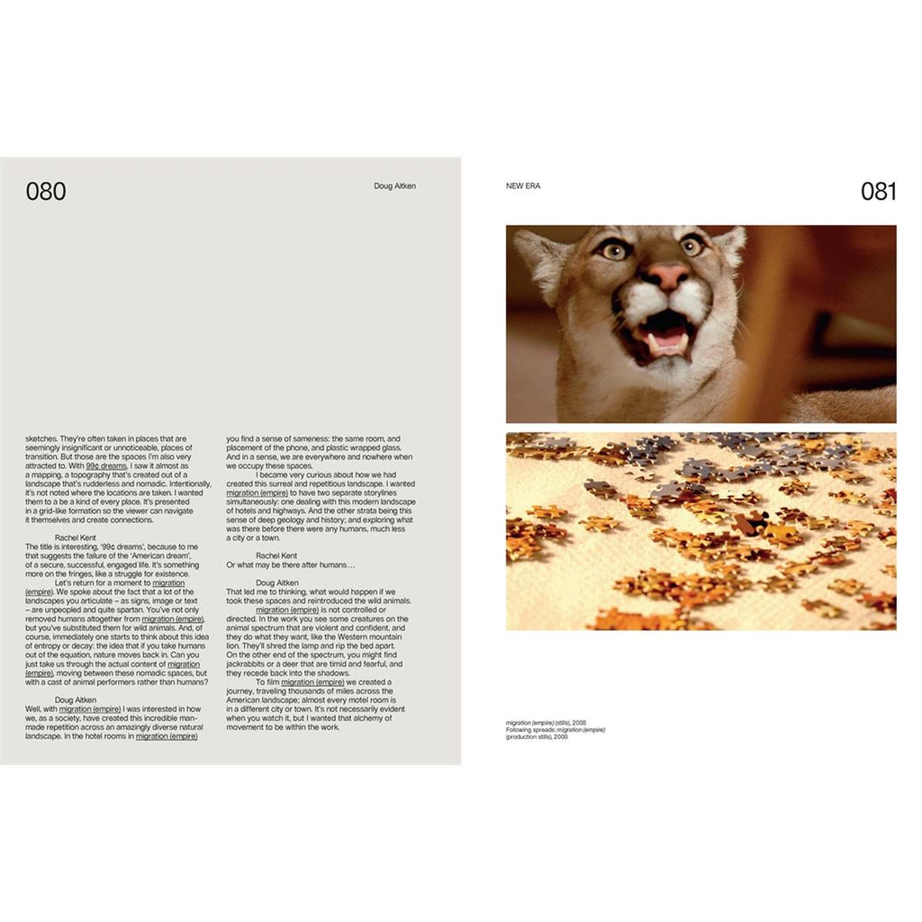 On the left of a double-page spread is a grey background with black text in two columns. On the right is a white page with a coloured photograph of a baby leopard on the top and jigsaw puzzles on the bottom. 