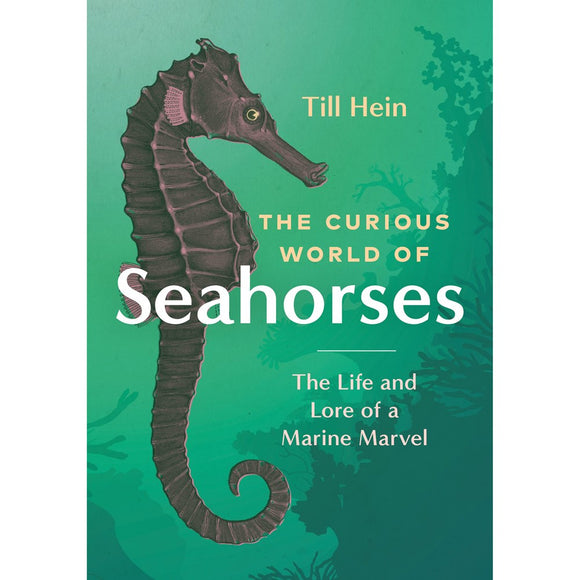 The Curious World of Seahorses | Author: Till Hein