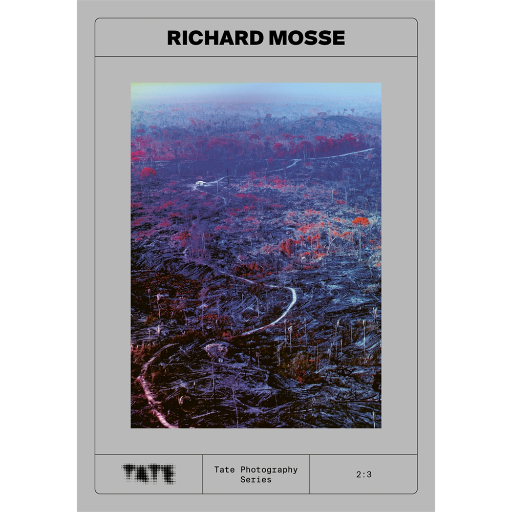 Tate Photography: Richard Mosse | Author: Yasufumi Nakamori