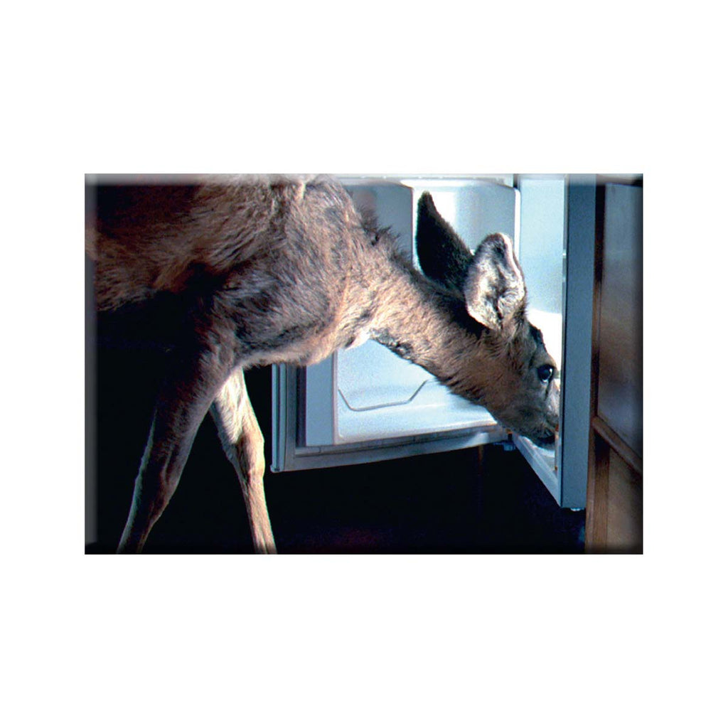 A rectangle has a photograph of a deer with its nose inside a fridge. 