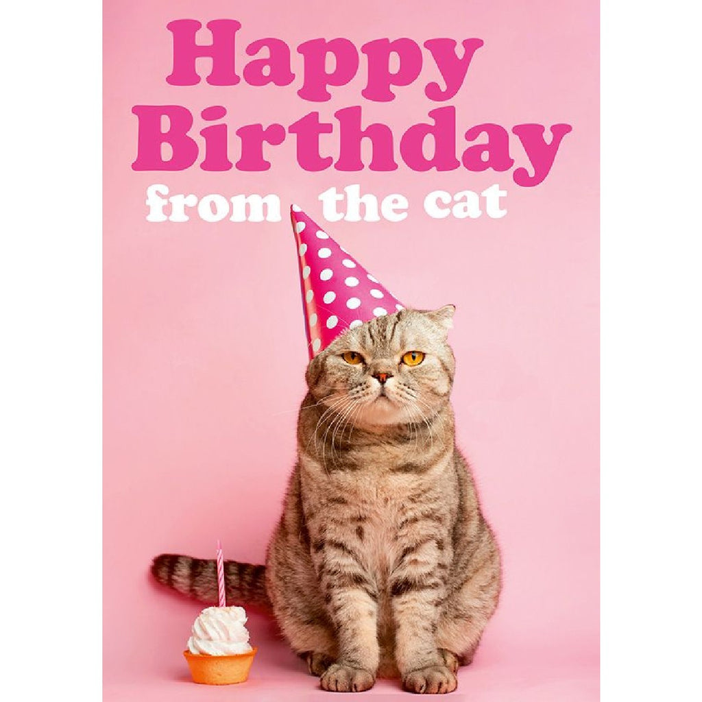 Greeting card | Happy birthday from the cat | Birthday