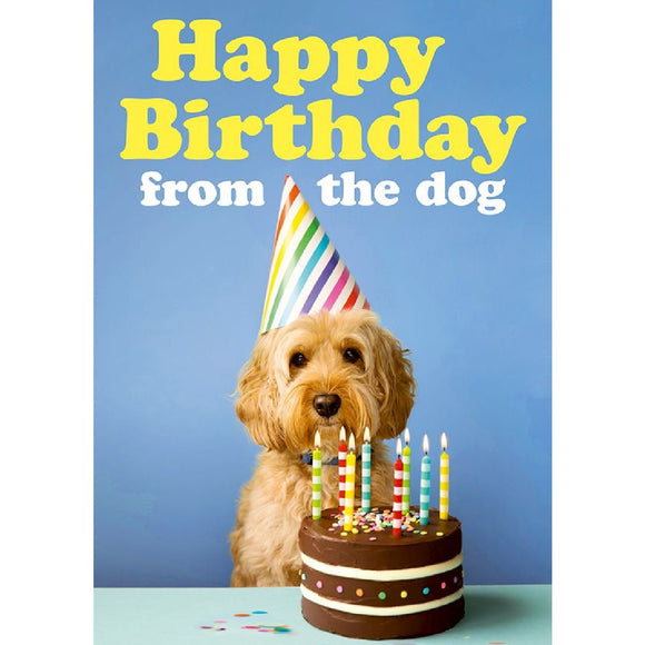 Greeting card | Happy birthday from the dog | Birthday