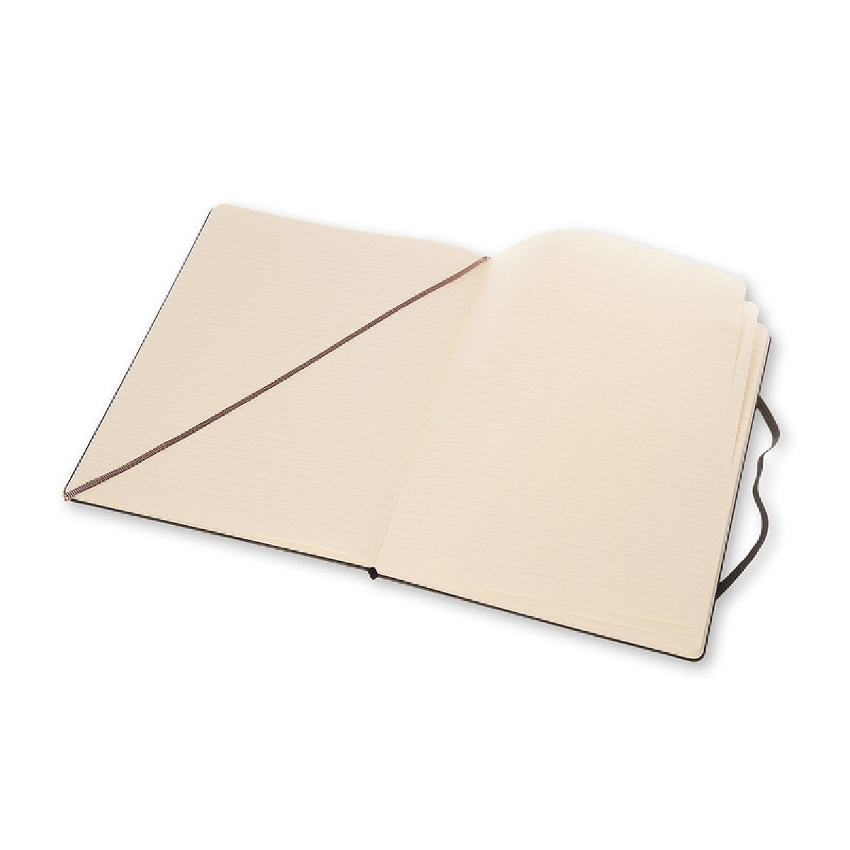 Hardcover notebook | Moleskine | ruled | extra large