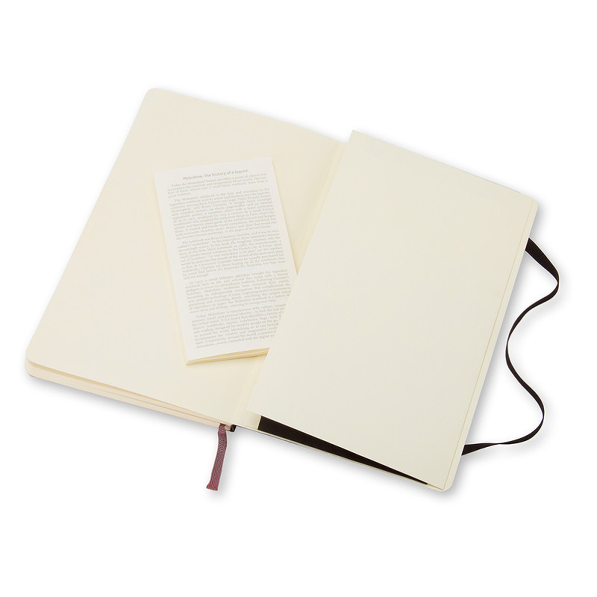 Softcover notebook | Moleskine | ruled | pocket