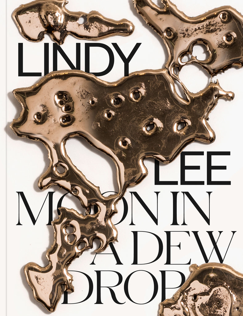 White hardcover with brass reflective fragments poured over the black text "LINDY LEE MOON IN A DEW DROP". 