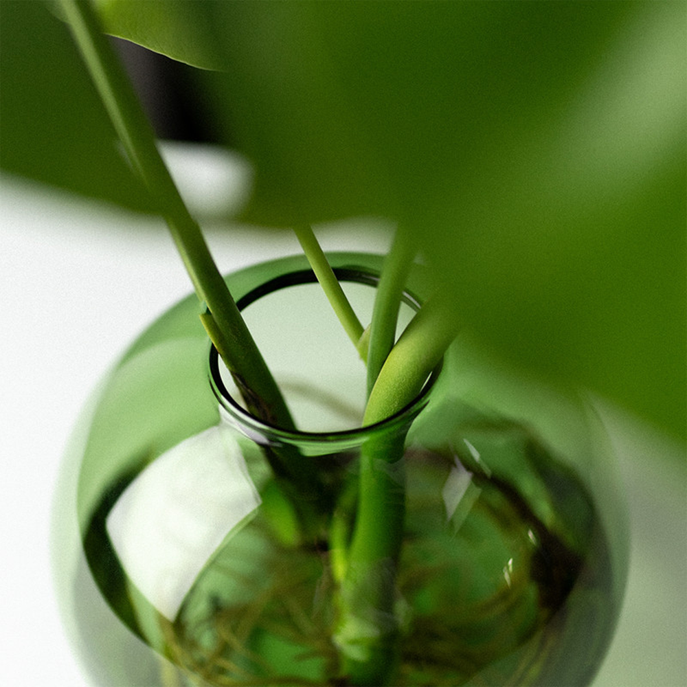 Aqua planter | Organic interior | green
