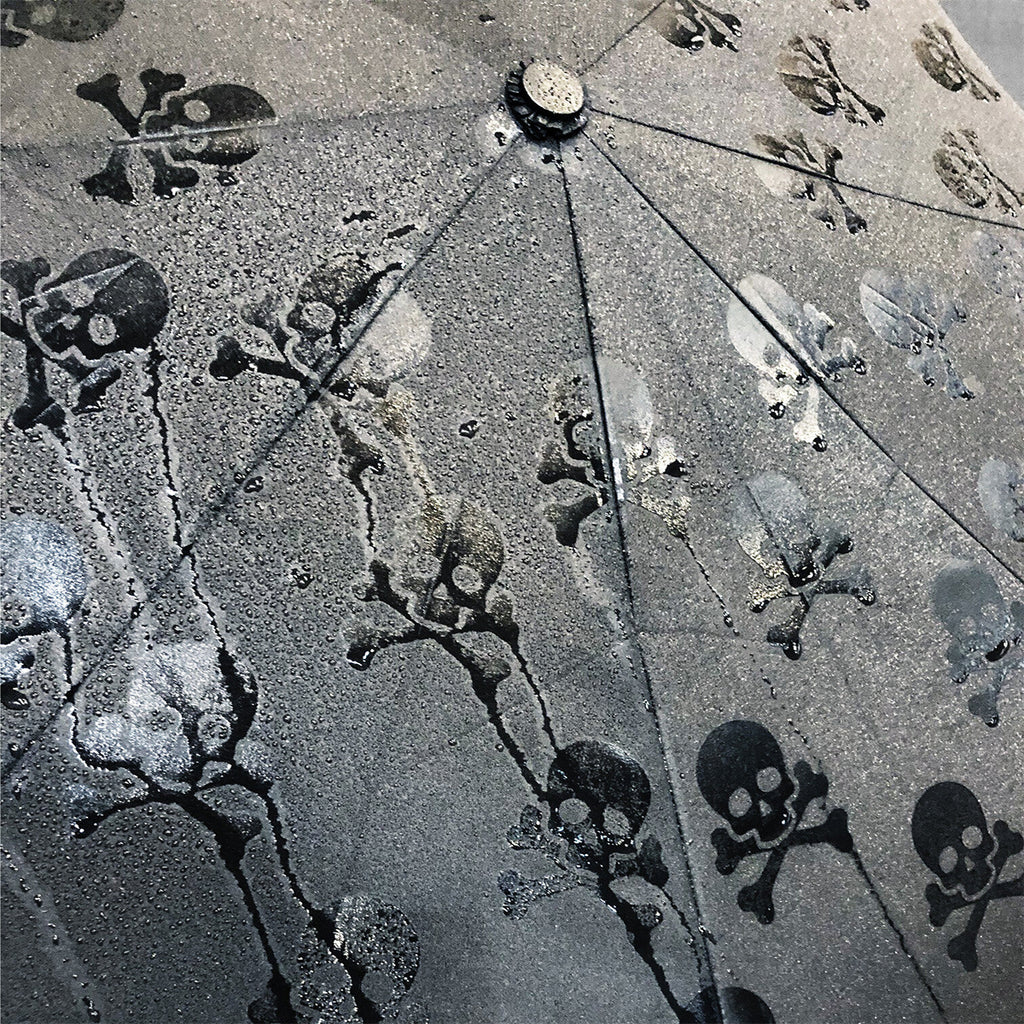 Pattern Revealing Umbrella | Skull