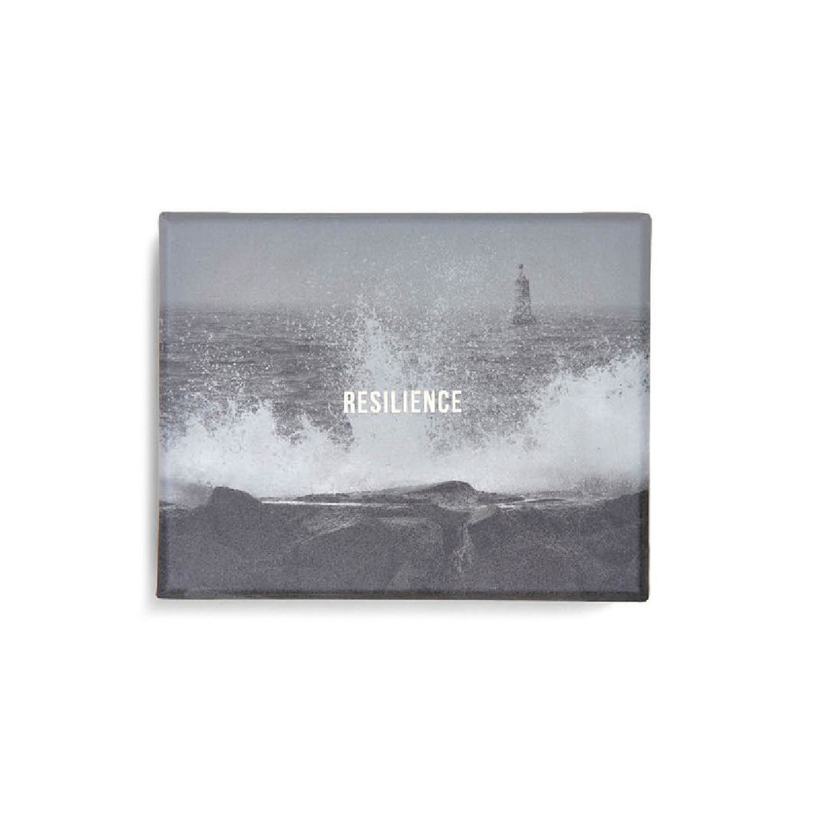Card set | Resilience | The School of Life