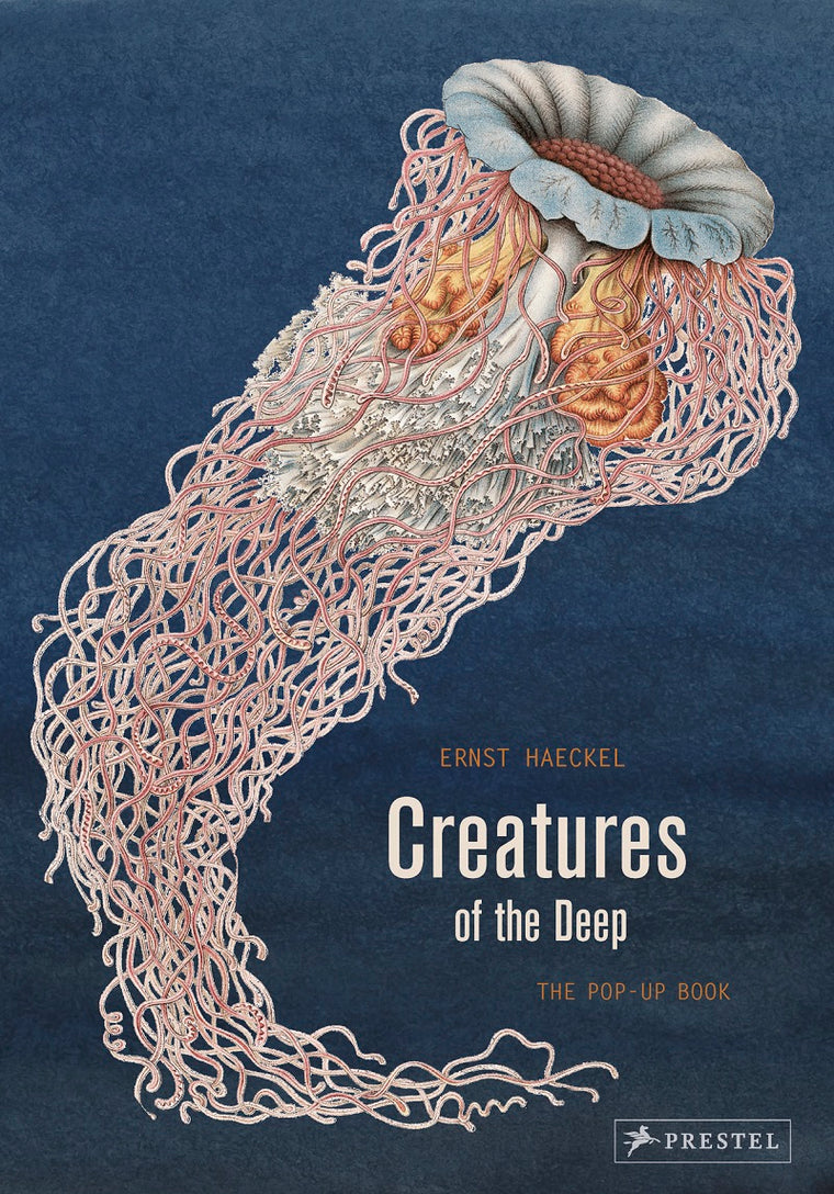 Creatures of The Deep: The Pop-up book | Author: Ernst Haeckel