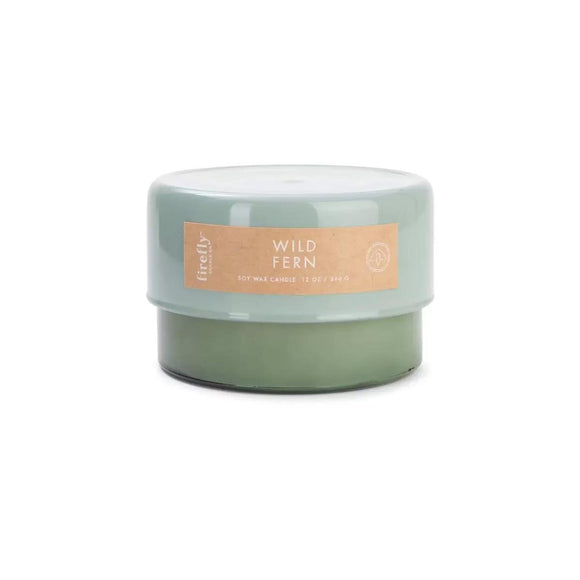 Candle | Botany | Wild fern